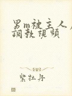 男m被主人虐玩调教视频