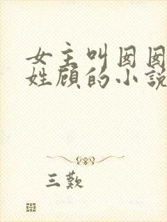 女主叫囡囡男主姓顾的小说