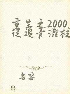 重生之2000从追青涩校花开始