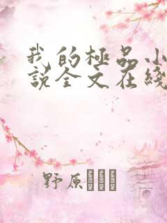 我的极品小姨小说全文在线阅读