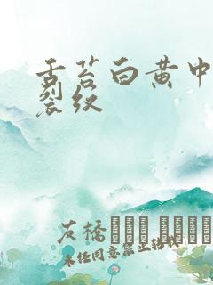 舌苔白黄中间有裂纹