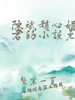 陈斌赵心媚高婉君的小说免费阅读