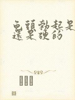 龟头勃起是软的还是硬的