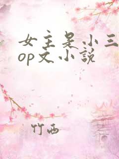 女主是小三的pop文小说