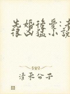 先婚后爱:老公很凶猛小说电子版txt