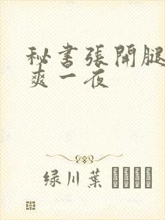 秘书张开腿让我爽一夜