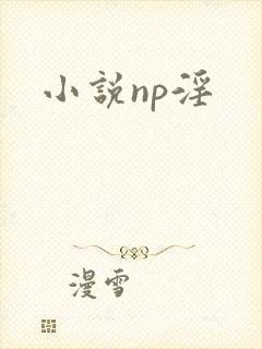 小说np淫