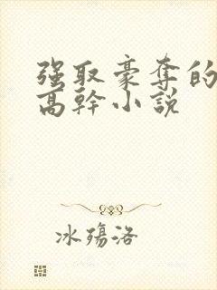 强取豪夺的男主高干小说