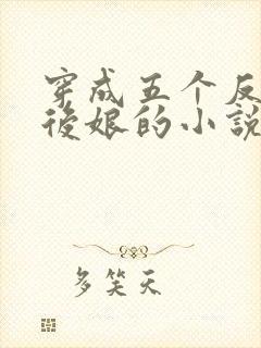 穿成五个反派的后娘的小说