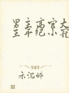 男主高官大叔女主年纪小宠文