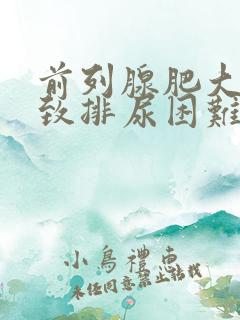 前列腺肥大会导致排尿困难吗