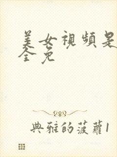 美女视频是黄的全免