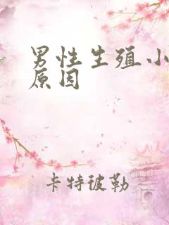 男性生殖小什么原因