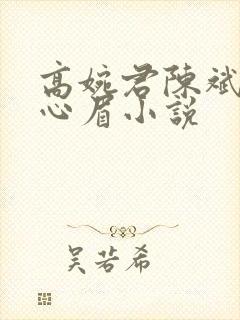 高婉君陈斌和赵心眉小说