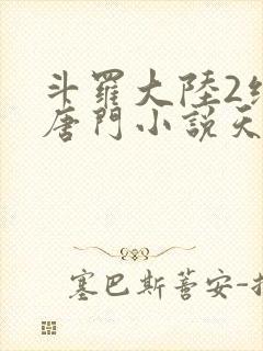 斗罗大陆2绝世唐门小说天域小说