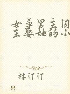 女尊男主囚禁女主娶她的小说