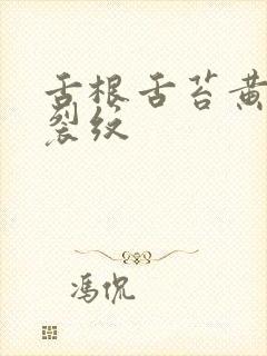 舌根舌苔黄腻有裂纹