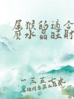 属猴的适合带什么水晶旺财