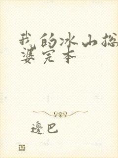 我的冰山总裁老婆完本