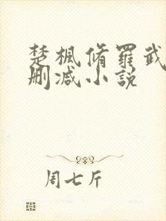 楚枫修罗武神未删减小说