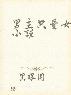 男主只爱女主的小说