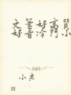 文笔好高质量超好看冷门小说