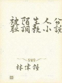 被陌生人公开羞耻调教小说