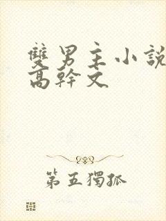 双男主小说推荐高干文