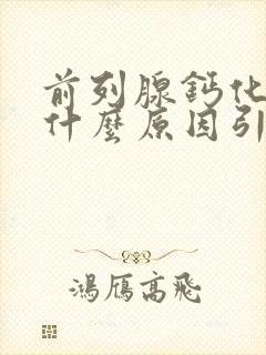 前列腺钙化点是什么原因引起的