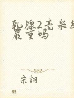 乳腺2毫米结节严重吗