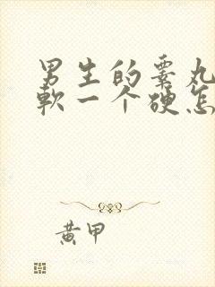 男生的睾丸一个软一个硬怎么回事