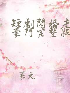 短剧闪婚老公是豪门完整版时长