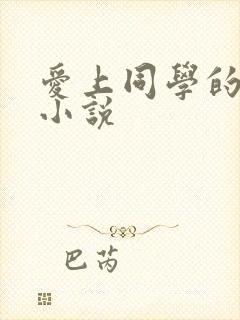 爱上同学的妈妈小说