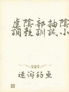 虐阴部抽阴憋尿调教训诫小说