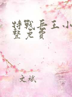 特战兵王小说完整免费