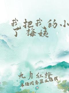 我把我的小姨办了 梅姨