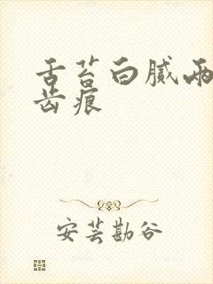 舌苔白腻两侧有齿痕