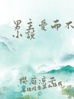 男主爱而不得的小说