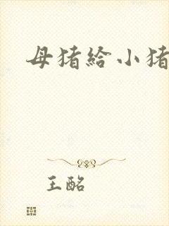 母猪给小猪喂奶