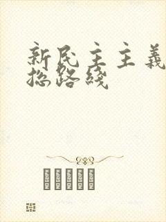 新民主主义革命总路线