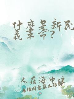 什么是新民主主义革命?