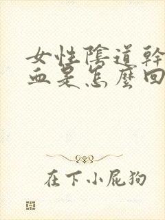 女性阴道干涩出血是怎么回事