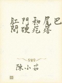 肛门和尾巴骨中间硬疙瘩