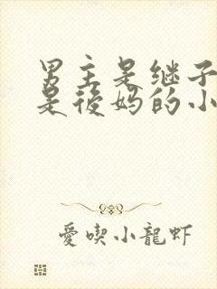 男主是继子女主是后妈的小说