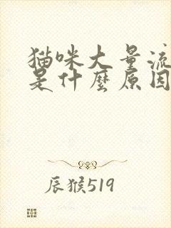 猫咪大量流口水是什么原因