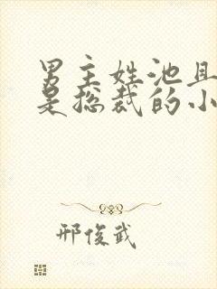 男主姓池且男主是总裁的小说