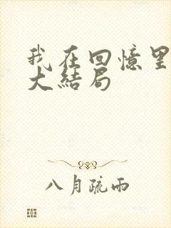 我在回忆里等你大结局