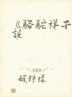 《骆驼祥子》小说