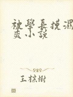 被学长摸湿奶好爽小说