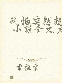 我怕突然想起你 小说全文免费阅读